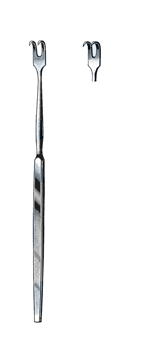 Trachea Retractor, 2 Sharp Prongs, 6 1/2" (16.5 cm) - Garana Industries