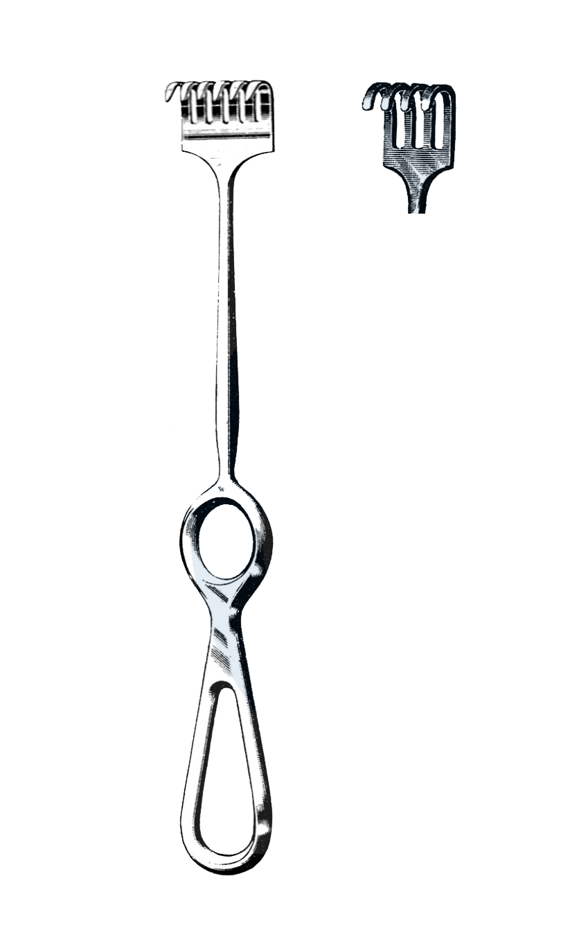8 3/4 Volkman Retractor - USA 3 prong blunt - BOSS Surgical Instruments 8 3/4 Volkman Retractor - USA 3 prong blunt - BOSS Surgical Instruments