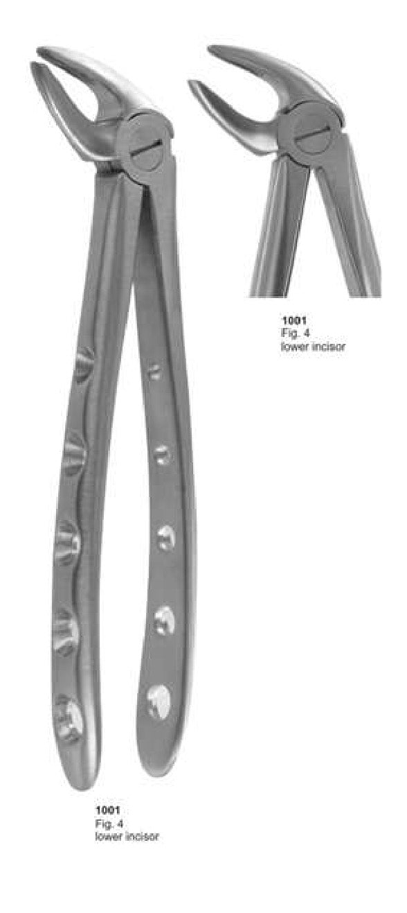 Extracting Forceps English Pattern Lower Incisor TC