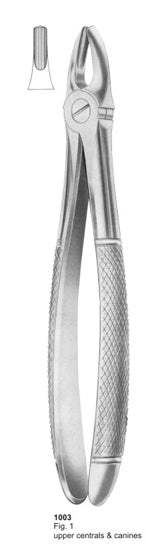 Extracting Forceps English Pattern Upper Central & Canines
