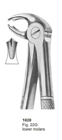 Extracting Forceps English Pattern Lower Molars