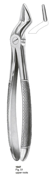 Extracting Forceps English Pattern Upper Roots