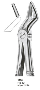 Extracting Forceps English Pattern Upper Roots