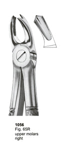 Extracting Forceps English Pattern Upper Molars Right