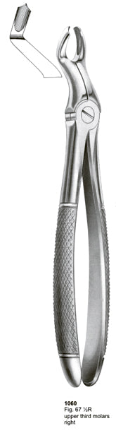 Extracting Forceps English Pattern Upper Third Molars Right