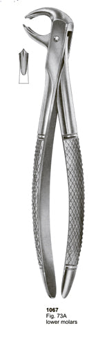 Extracting Forceps English Pattern Lower Molars