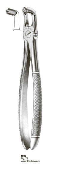 Extracting Forceps English Pattern Lower Third Molar