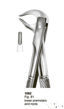 Extracting Forceps English Pattern Lower Third Premolar And Roots