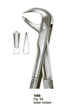 Extracting Forceps English Pattern Lower Molars