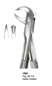 Extracting Forceps English Pattern Lower Molars