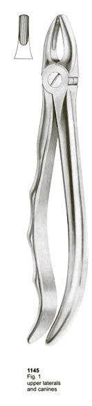Extracting Forceps Fitting Handle Upper Laterals and Canines