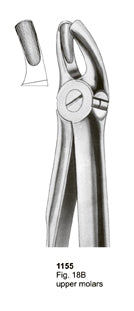 Extracting Forceps Fitting Handle Upper Molars