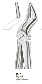 Extracting Forceps Fitting Handle Upper Roots