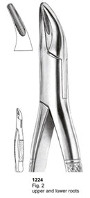 Extracting Forceps American Pattern Upper And Lower Roots