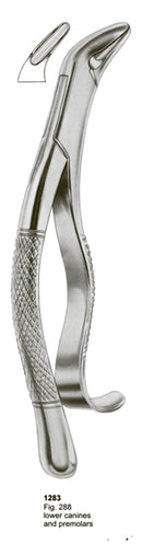 Extracting Forceps American Pattern Lower Canines And Premolars
