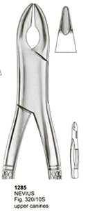 Extracting Forceps American Pattern Nevius Upper Canines