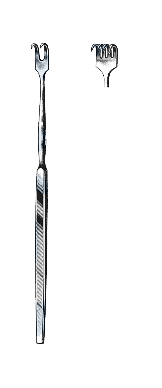 Trachea Retractor, 4 Sharp Prongs, 6 1/2" (16.5 cm) - Garana Industries