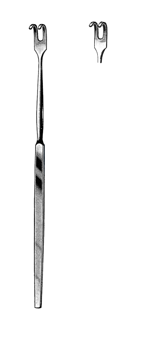 Trachea Retractor, 2 Blunt Prongs, 6 1/2" (16.5 cm) - Garana Industries