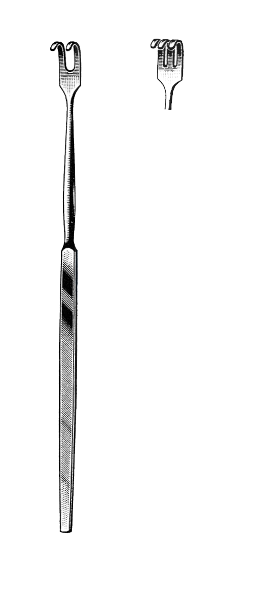 Trachea Retractor, 3 Blunt Prongs, 6 1/2" (16.5 cm) - Garana Industries