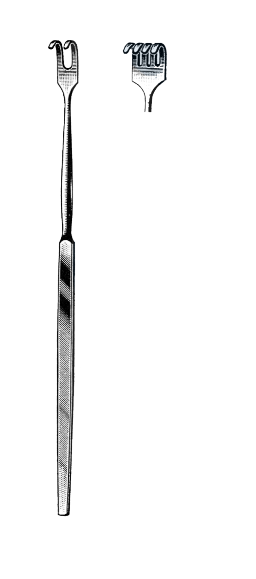 Trachea Retractor, 4 Blunt Prongs, 6 1/2" (16.5 cm) - Garana Industries