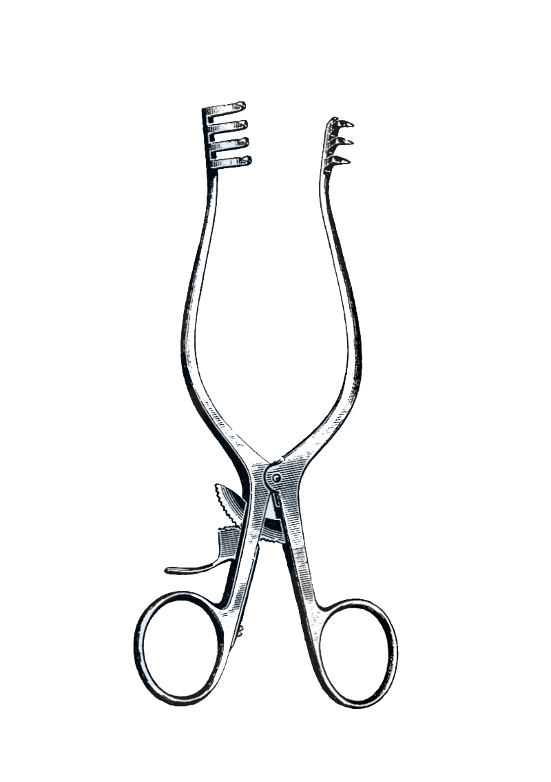 Weitlaner Retractor, 3 x 4 Sharp Prongs, 9 1/2" (24 cm) - Garana Industries