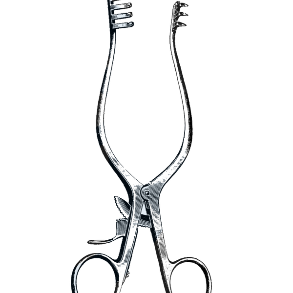 Weitlaner Retractors | Retractors Instruments | Upto 25% Off Weitlaner Retractors | Retractors Instruments | Upto 25% Off