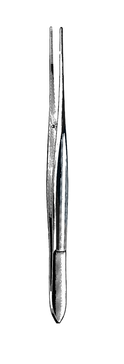 Cushing Forceps, Straight, Serrated Tips, 7" (17.5 cm) - Garana Industries
