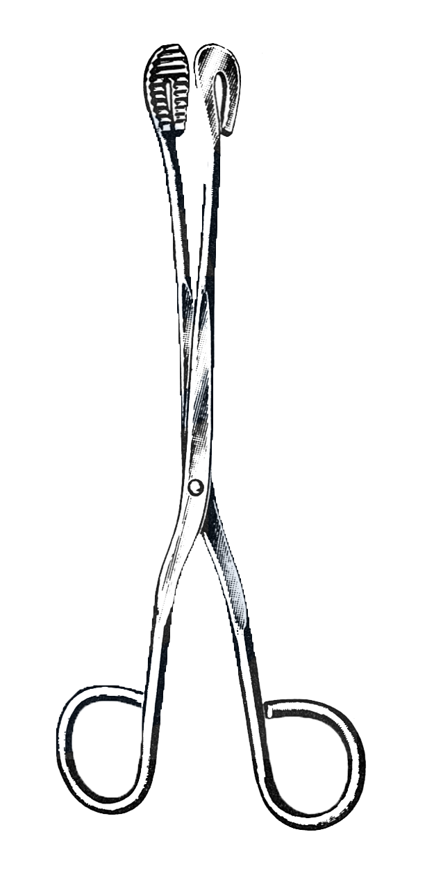 Utility and Sterilizer Forceps, Straight, 11" (28 cm) - Garana Industries