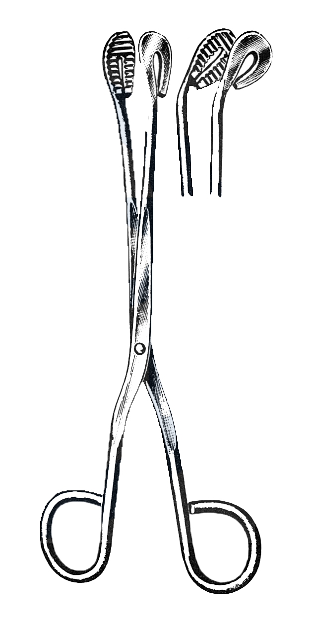 Utility and Sterilizer Forceps, Curved, 8" (20 cm) - Garana Industries
