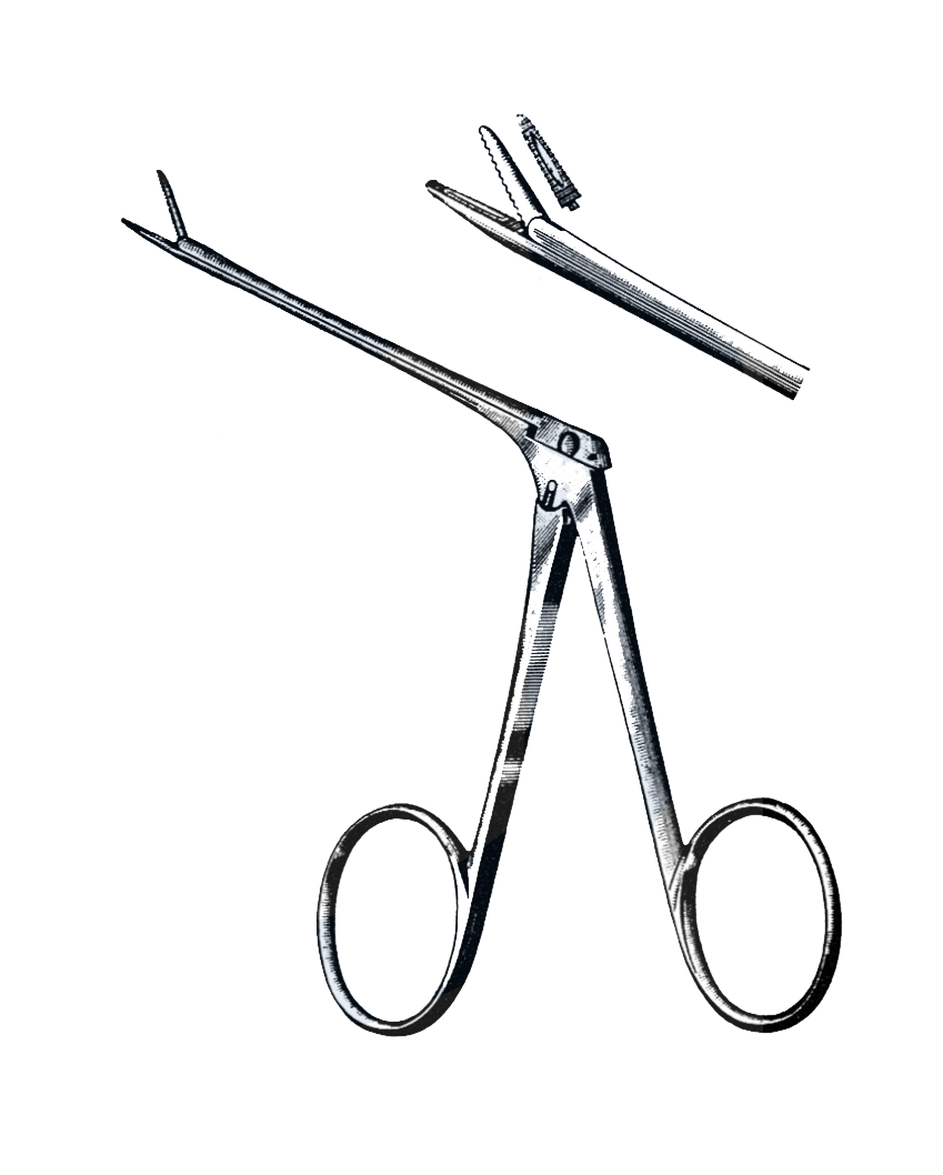 Ear Surgical Instruments - Garana Industries