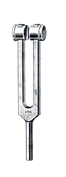 Alloy Tuning Fork, 256 Vibrations - Garana Industries