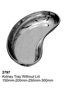 Kidney Tray Stainless Steel