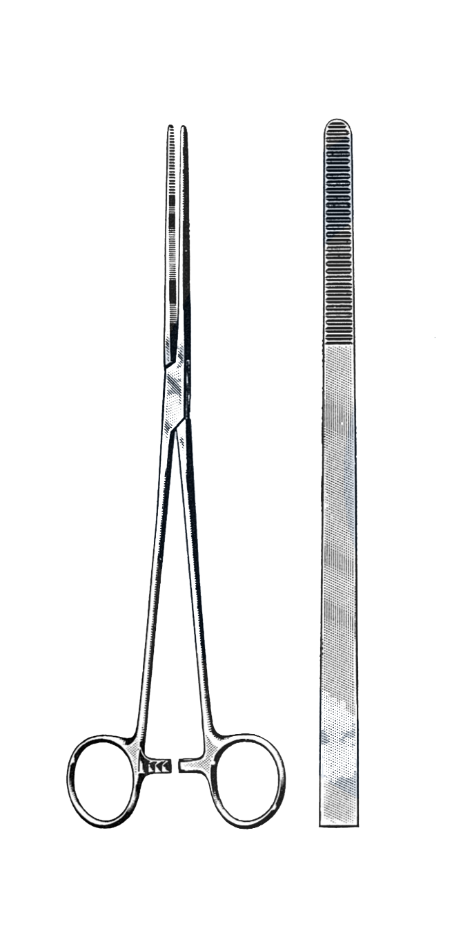 Bozeman Uterine Dressing Forceps, Straight 10" (25 cm) - Garana Industries