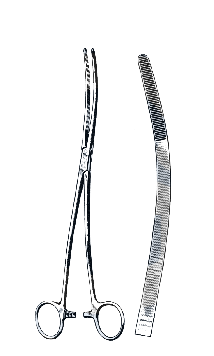 Bozeman Uterine Dressing Forceps, Curved 10" (25 cm) - Garana Industries
