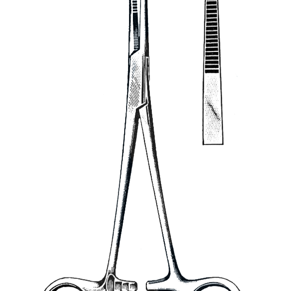 Benco Dental™ Kelly Hemostatic Forceps 5.5 Curved