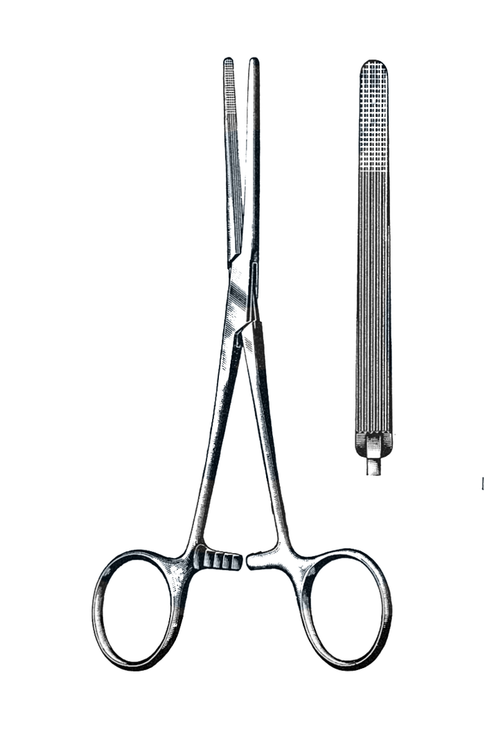 Rochester Carmalt Forceps, Cvd., 8.0