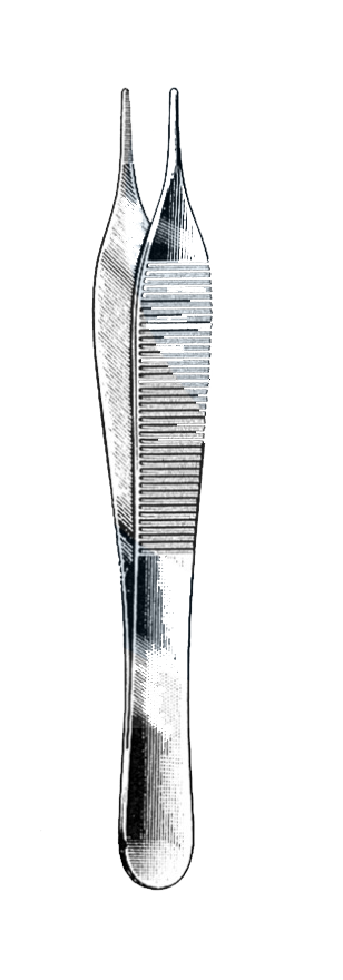 Adson Forceps, Serrated Tips, 4 3/4" (12 cm) - Garana Industries
