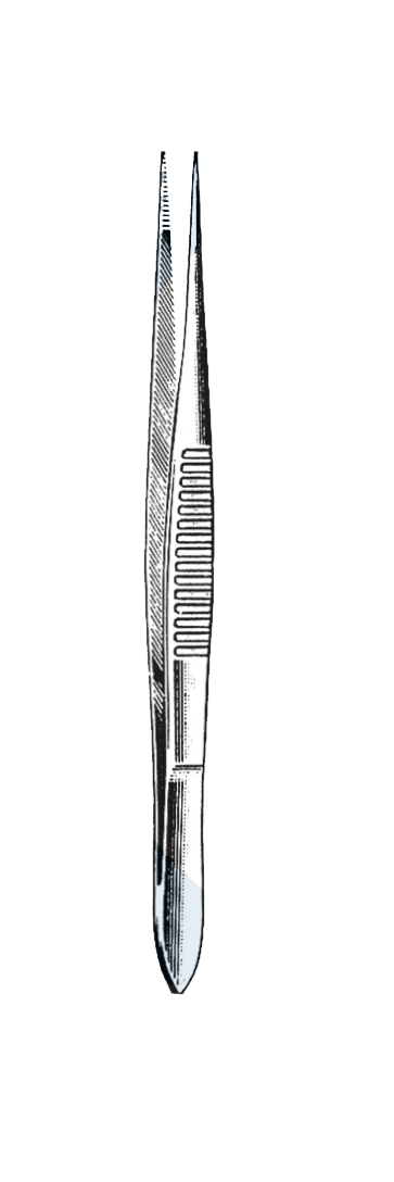 Plain Splinter Forceps, 4" (10 cm) - Garana Industries