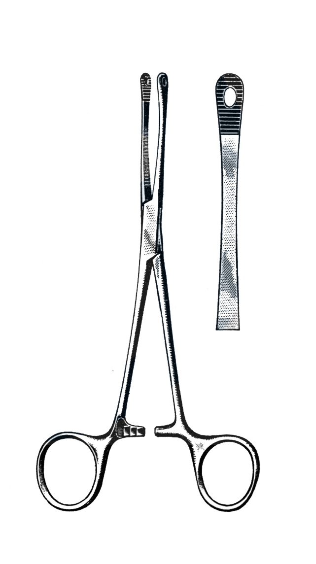 Percy Intestinal Forceps, 6" (15 cm) - Garana Industries