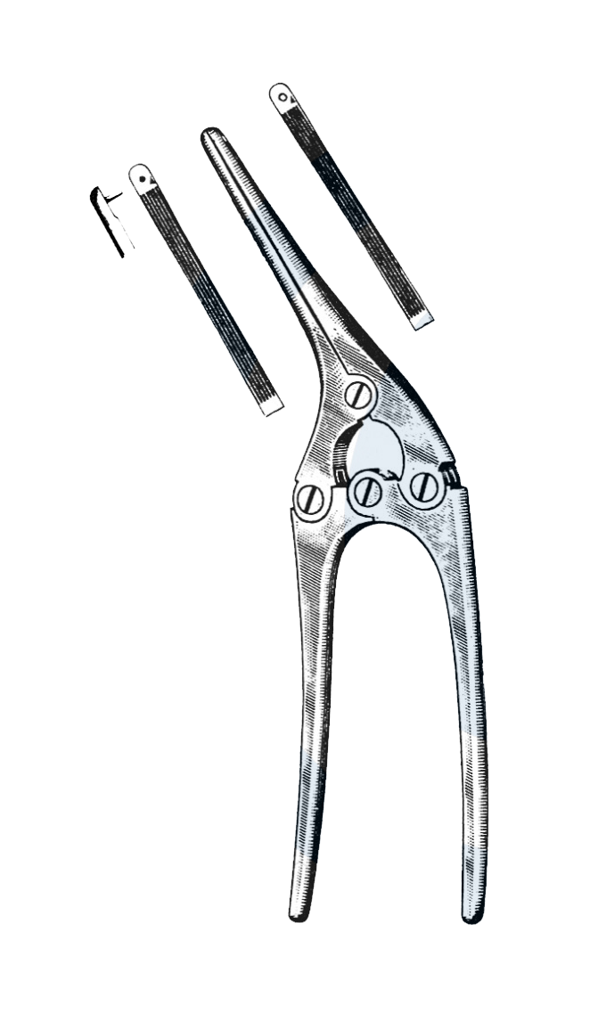 Payr Pylorus Clamp, Pediatric, 5 3/4" (15 cm) - Garana Industries