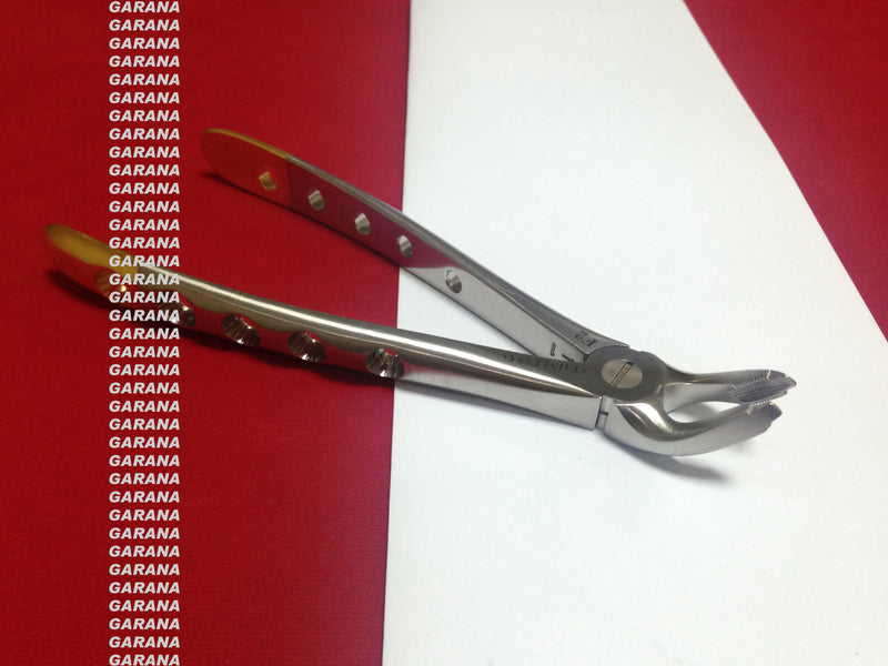 Extracting Forceps F2