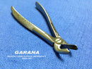 Extracting Forceps Lower Molars For Children 1039